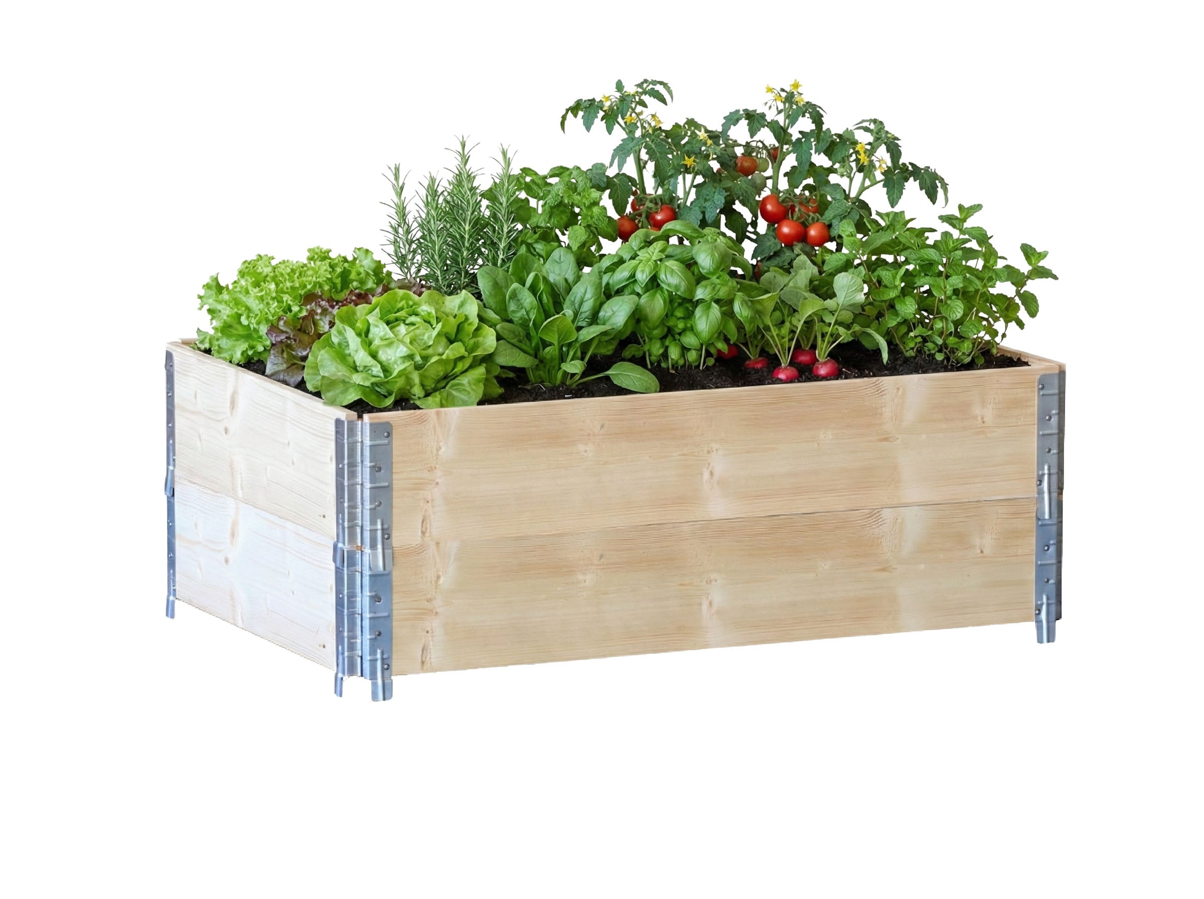 Grządka podwyższona z roślinami TKPAK