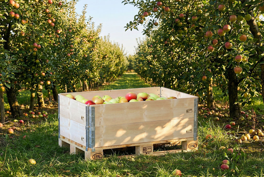 Skrzynia paletowa skrzyniopaleta drewniana 800x600x600 półpaleta